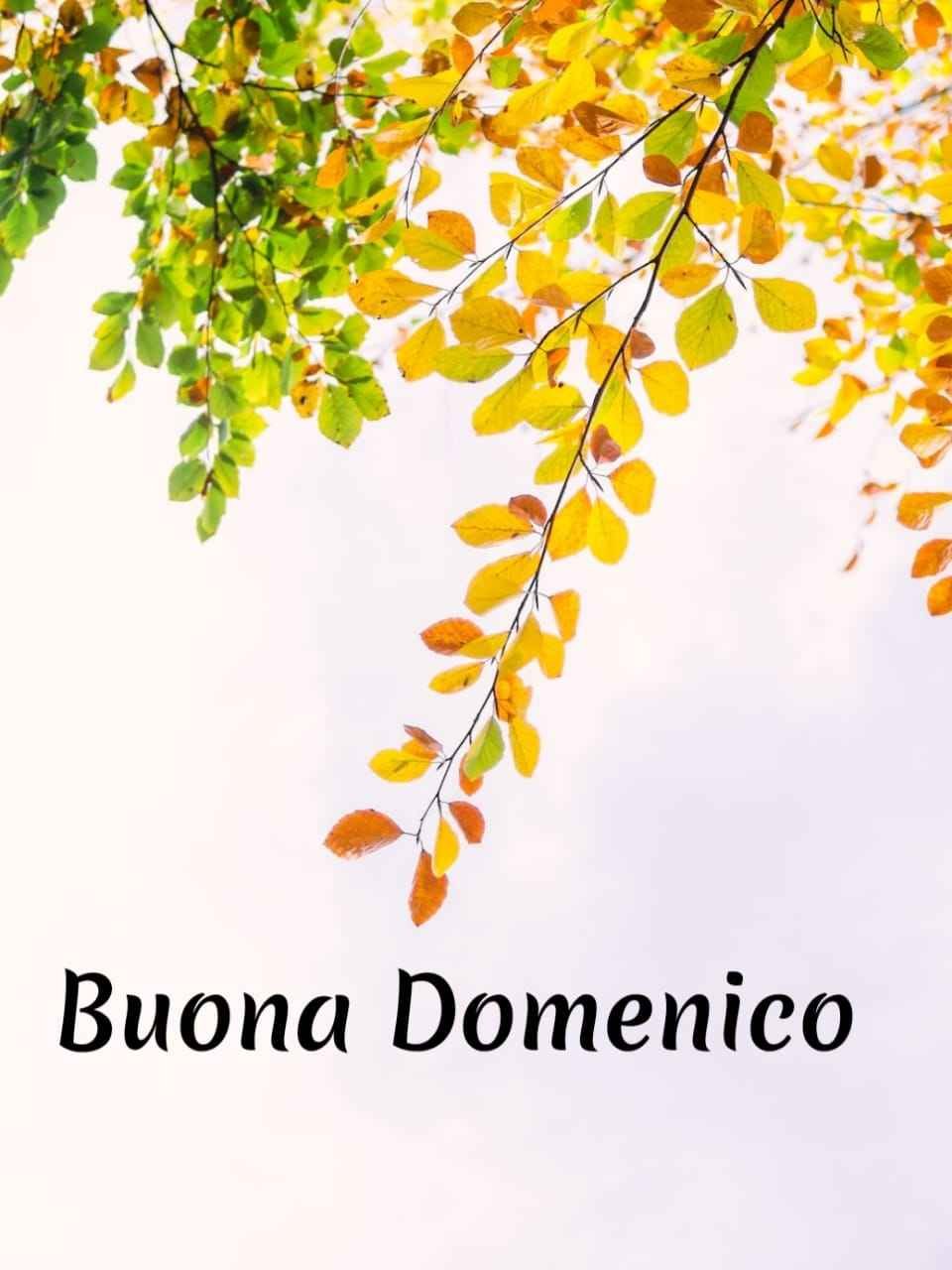 Buona Domenica Autunnale Immagini Nuove Gratis