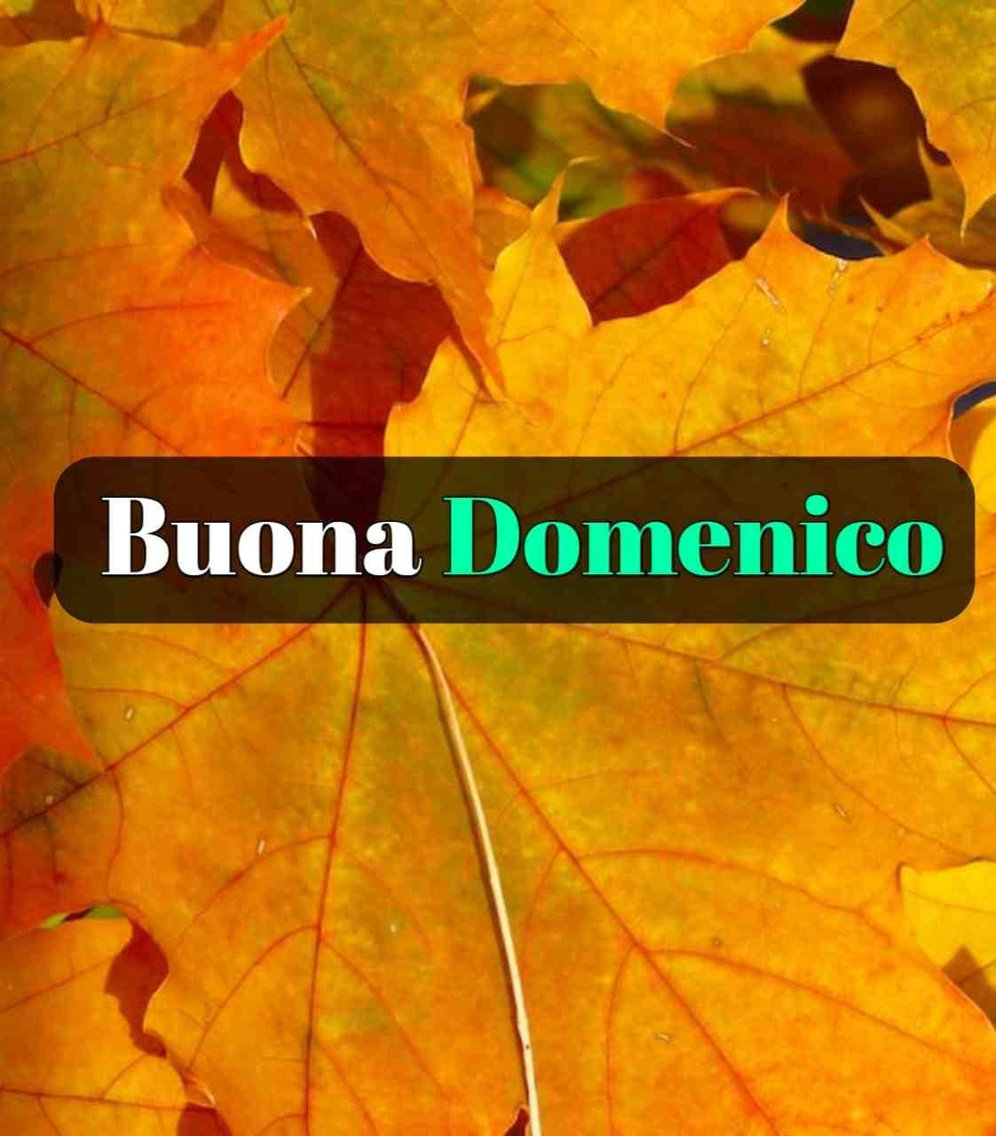 Buona Domenica Autunnale Immagini Nuove Gratis