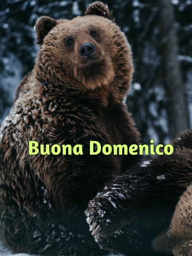 Buona Domenica Invernale Immagini Nuove Gratis