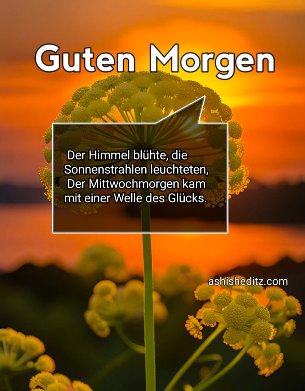 Guten Morgen Mittwoch Bilder Whatsapp Kostenlos