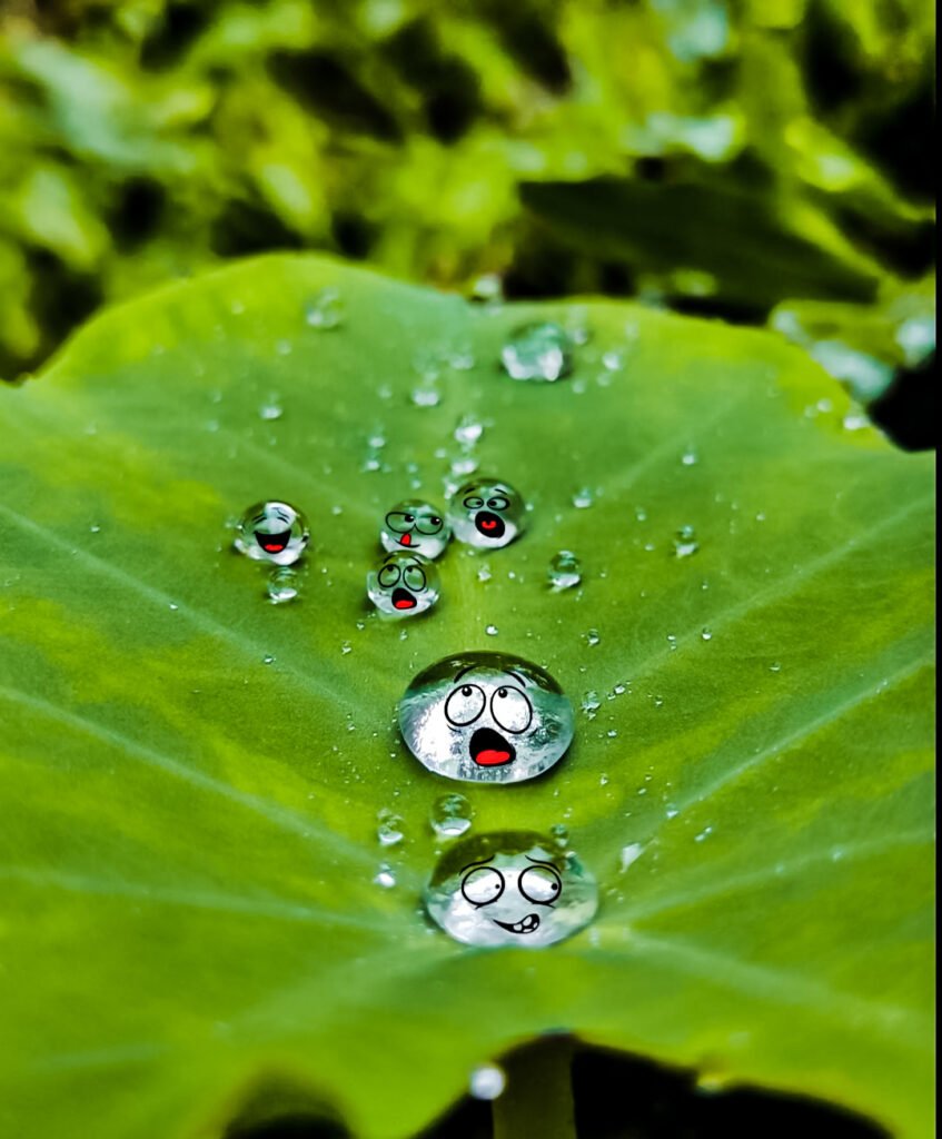 cute water drops