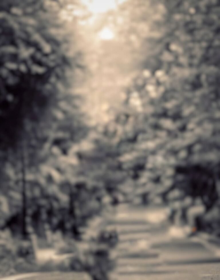 snapseed background