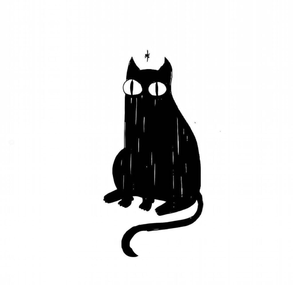 Colored Pencils on Black Paper 4: BLACK CAT PORTRAIT | Sandrine Curtiss |  Skillshare