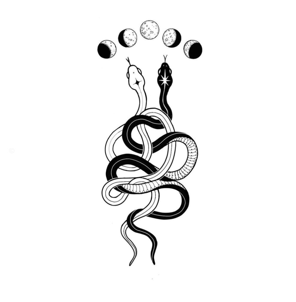 snake drawing ideas free images