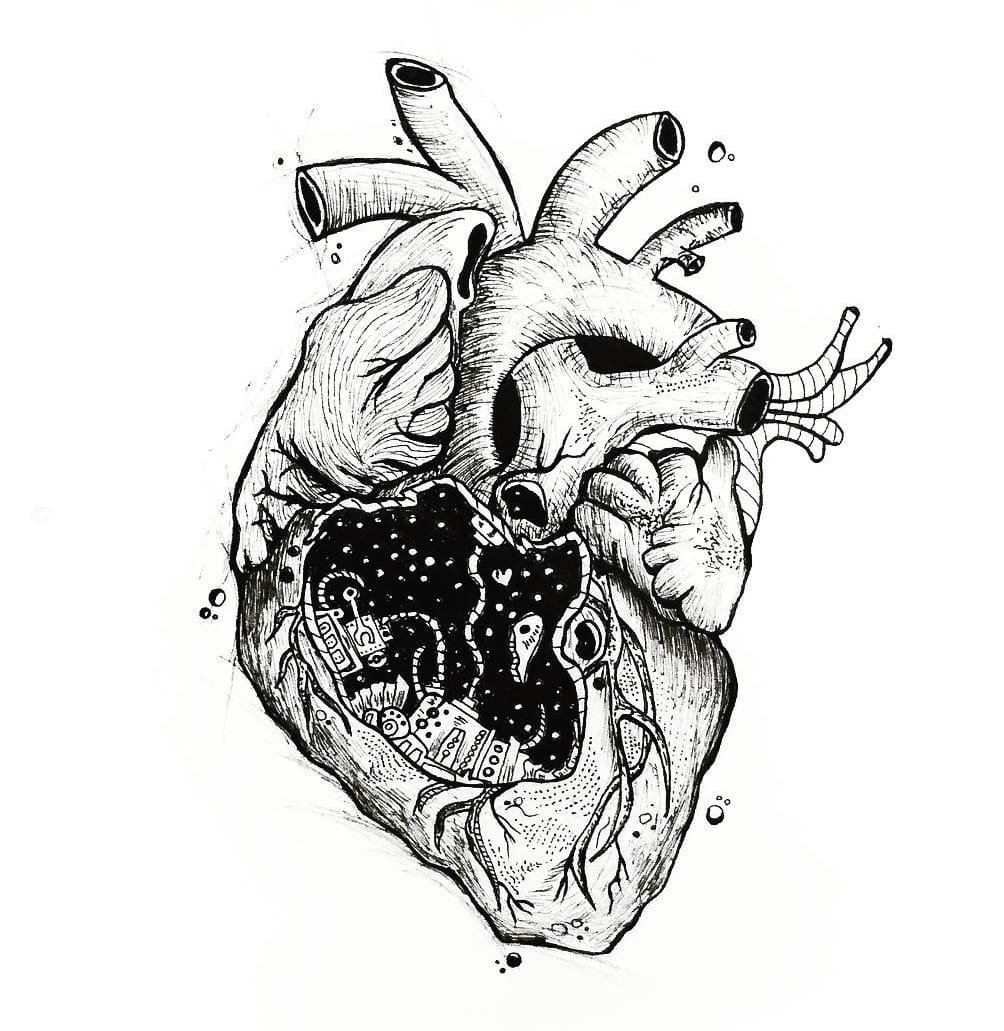 Heart drawing New easy method and anatomical heart images