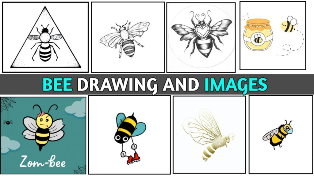 bee drawing top images