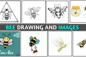 bee drawing top images