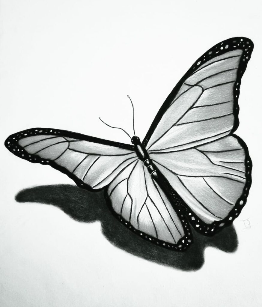 easy butterfly drawing