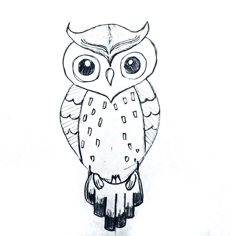 Owl drawing easy step & draw images