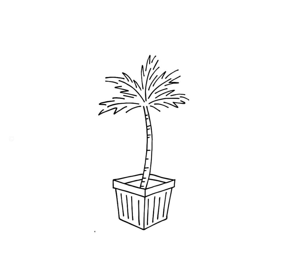 cute palm tree drawing