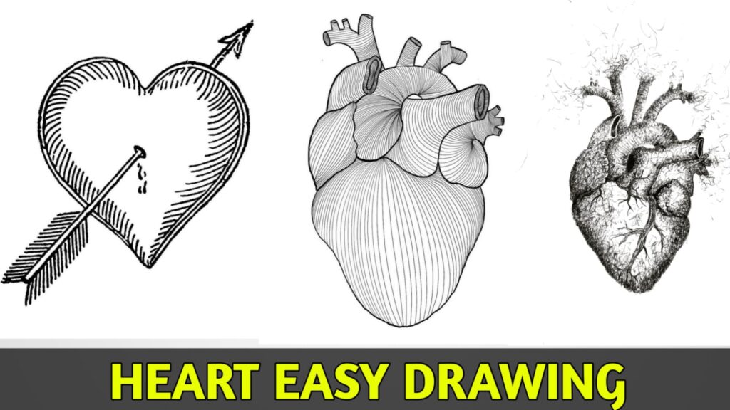 heart drawing human