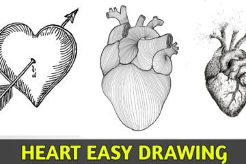 heart drawing human