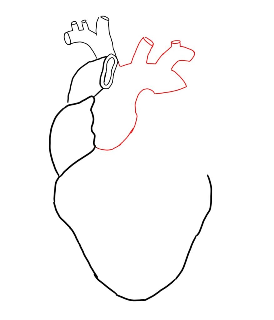 Heart Drawing Clip Art Image - ClipSafari