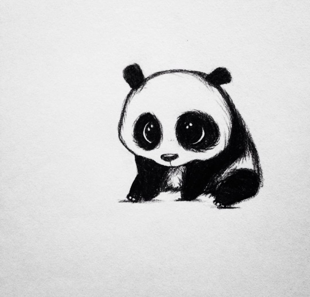 Cute panda drawing on school board with pencil Vector Image