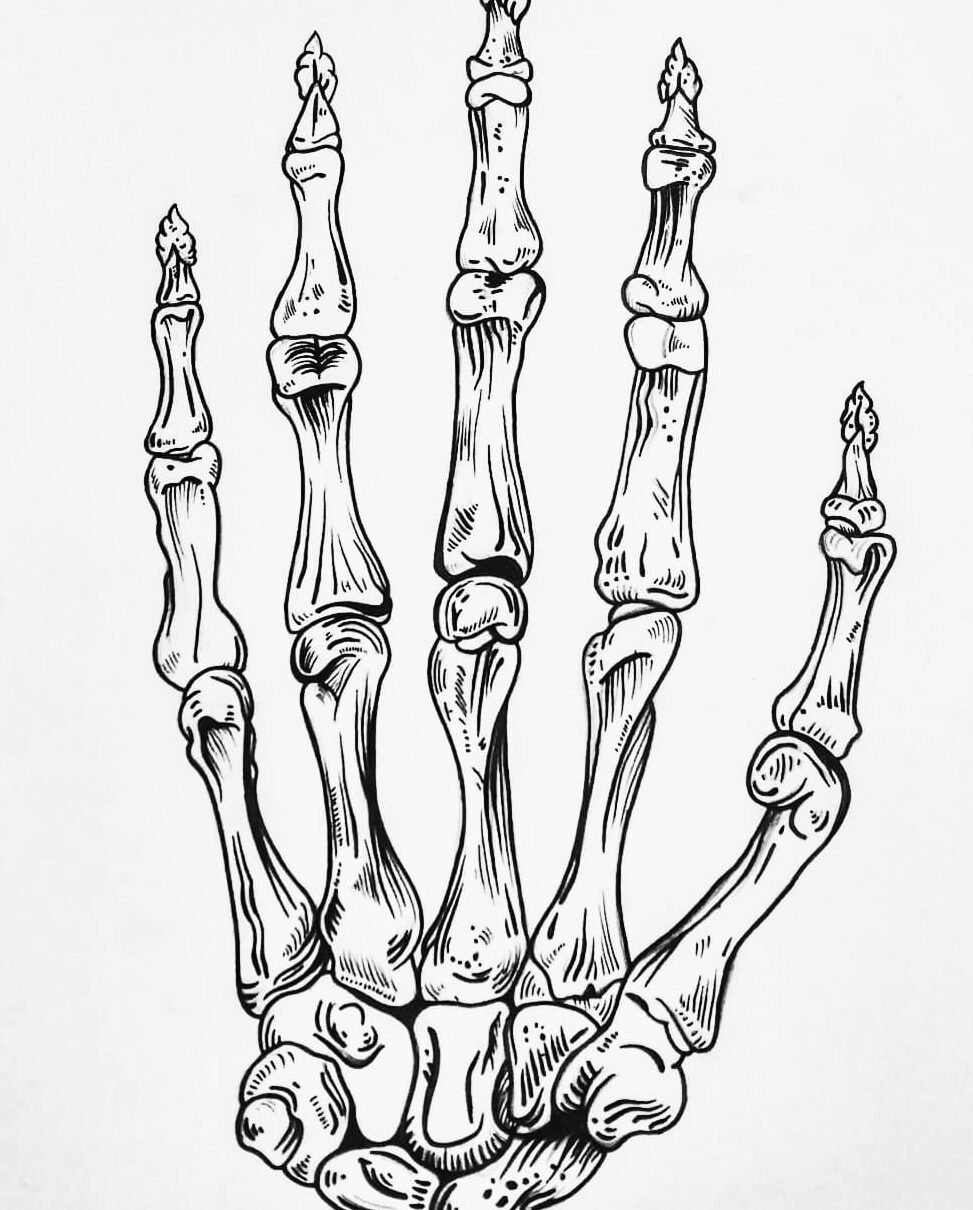 left skeleton hand drawing