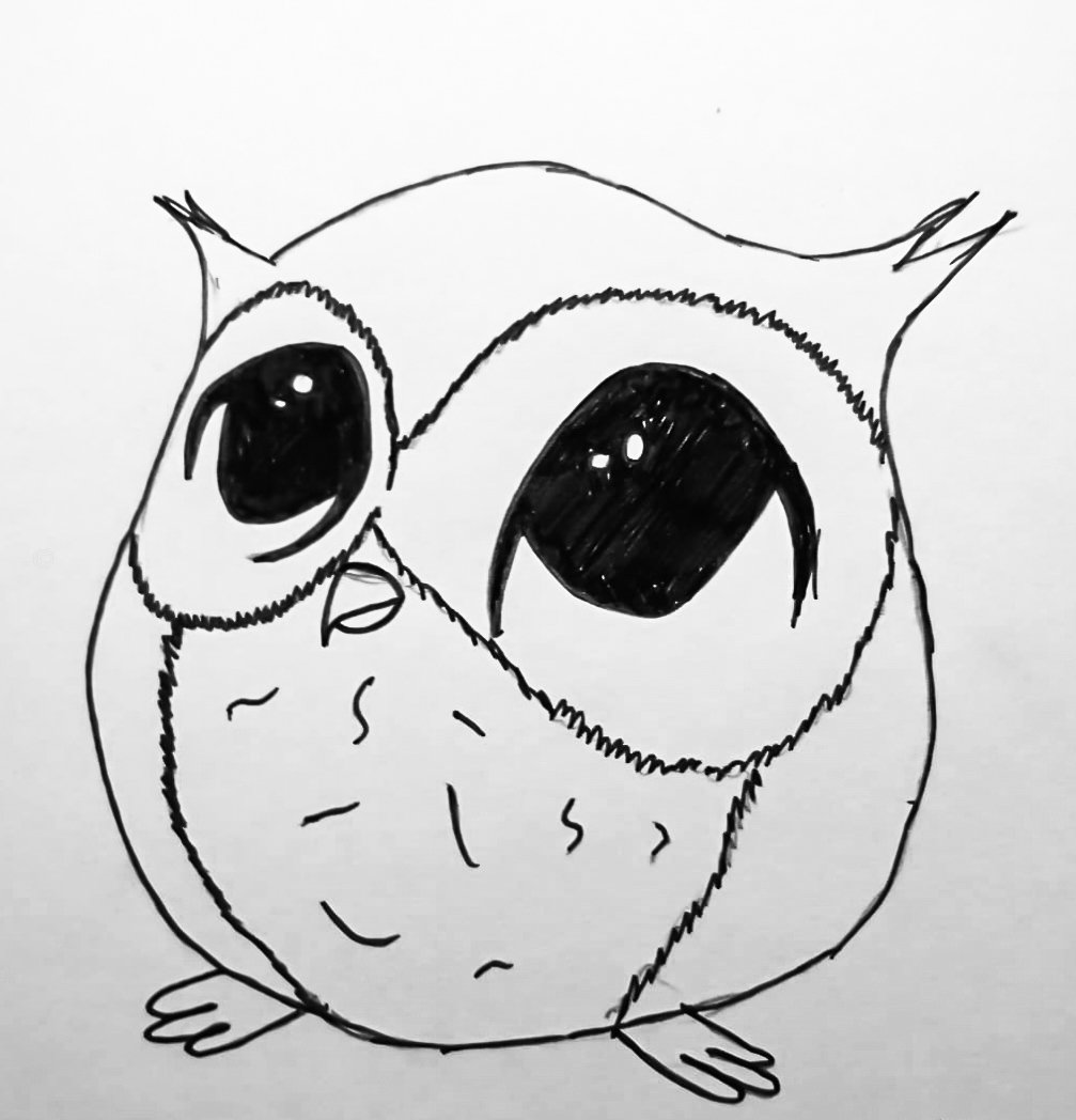 mini drawing owl