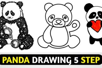 panda drawing