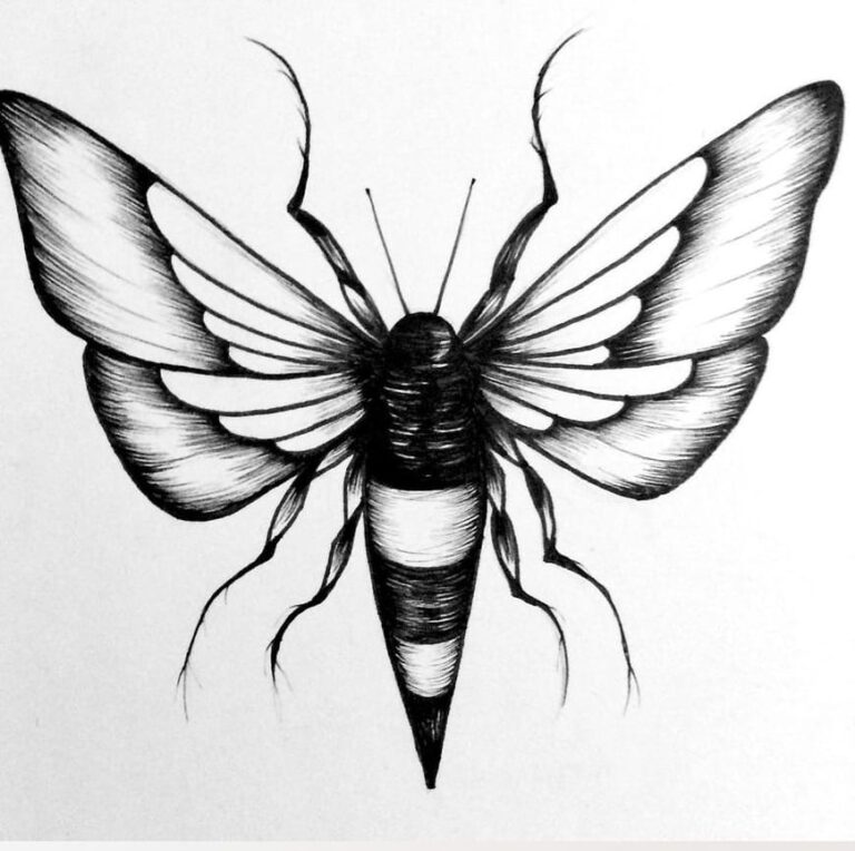 Bumble bee drawing new 30+ picture