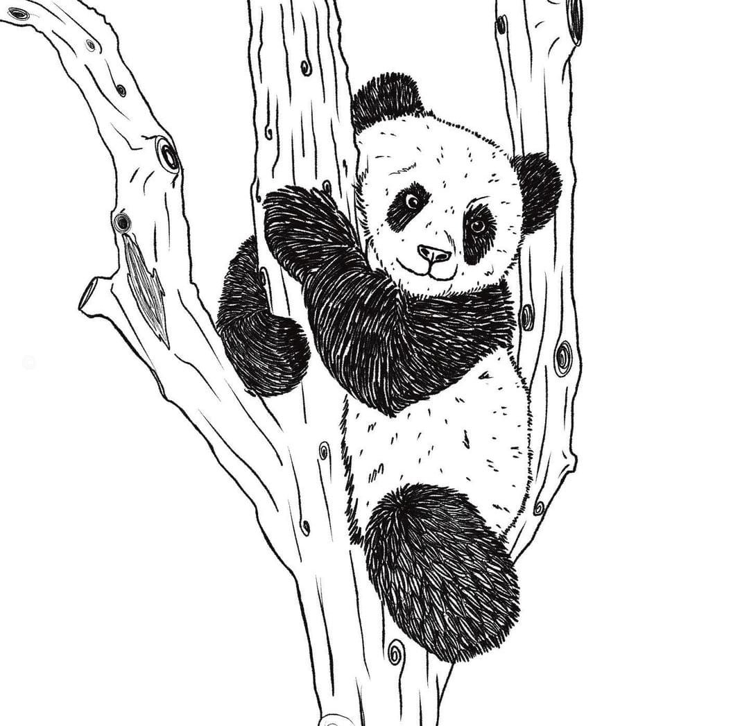 Cute Panda - cute panda sweet panda simple panda kawaii panda - CleanPNG /  KissPNG