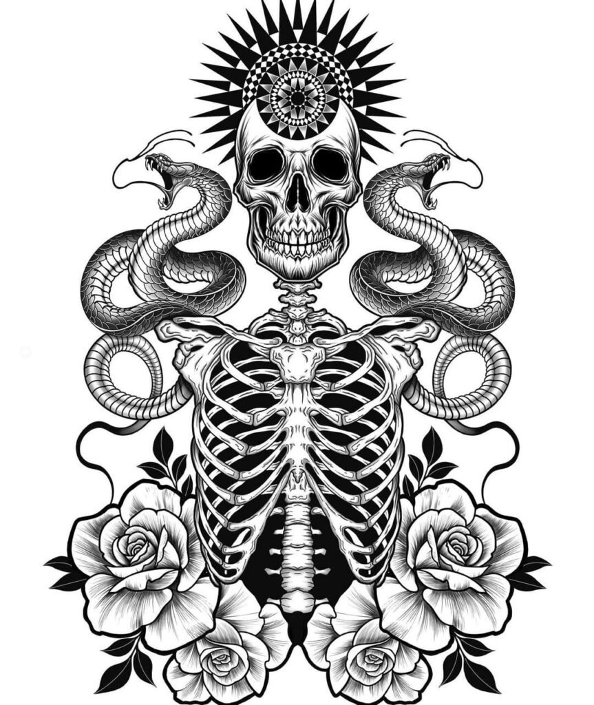 skull snake drawing