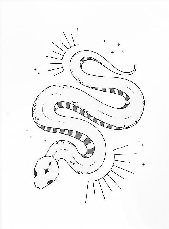 snake drawing cute