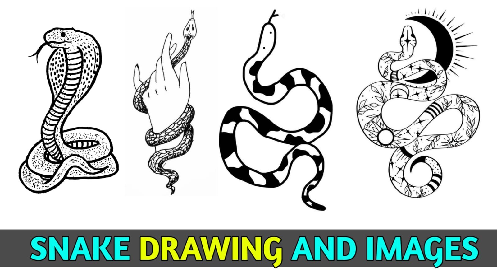 snake drawing ideas