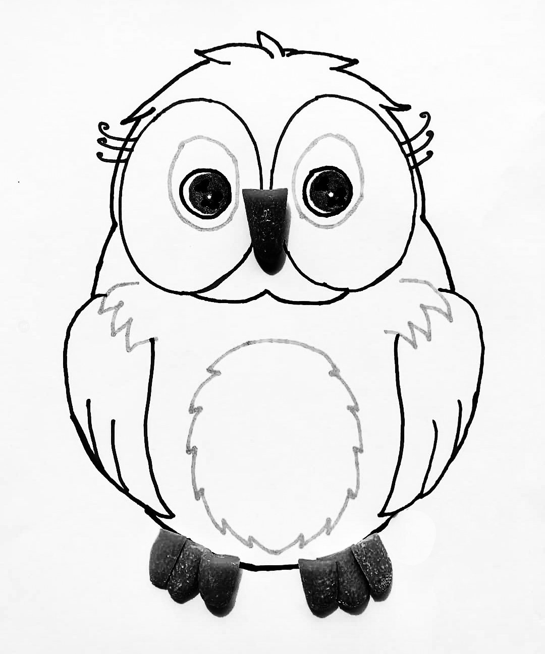 How to Draw an Owl for Kids - Step 10 | Owl kids, Owls drawing, Drawing for  kids