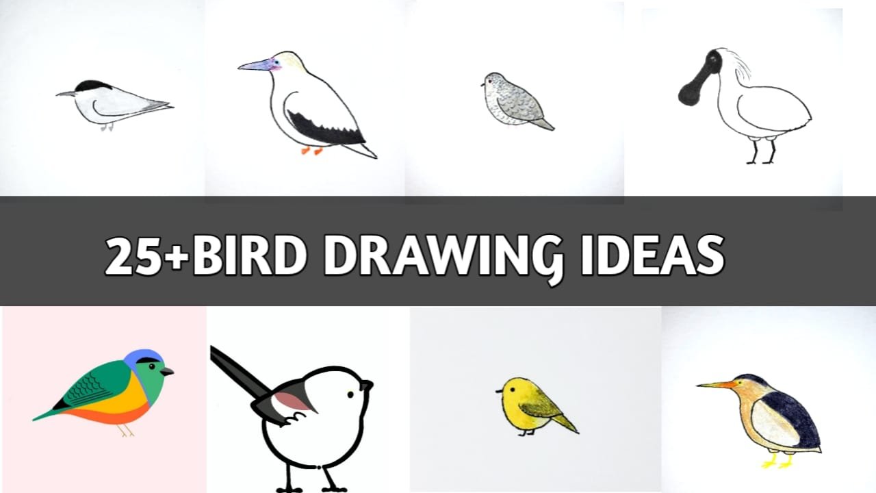 Easy Bird Drawing and Colouring Step by Step | How to Draw an Easy Cute Bird  and Colour It - YouTube