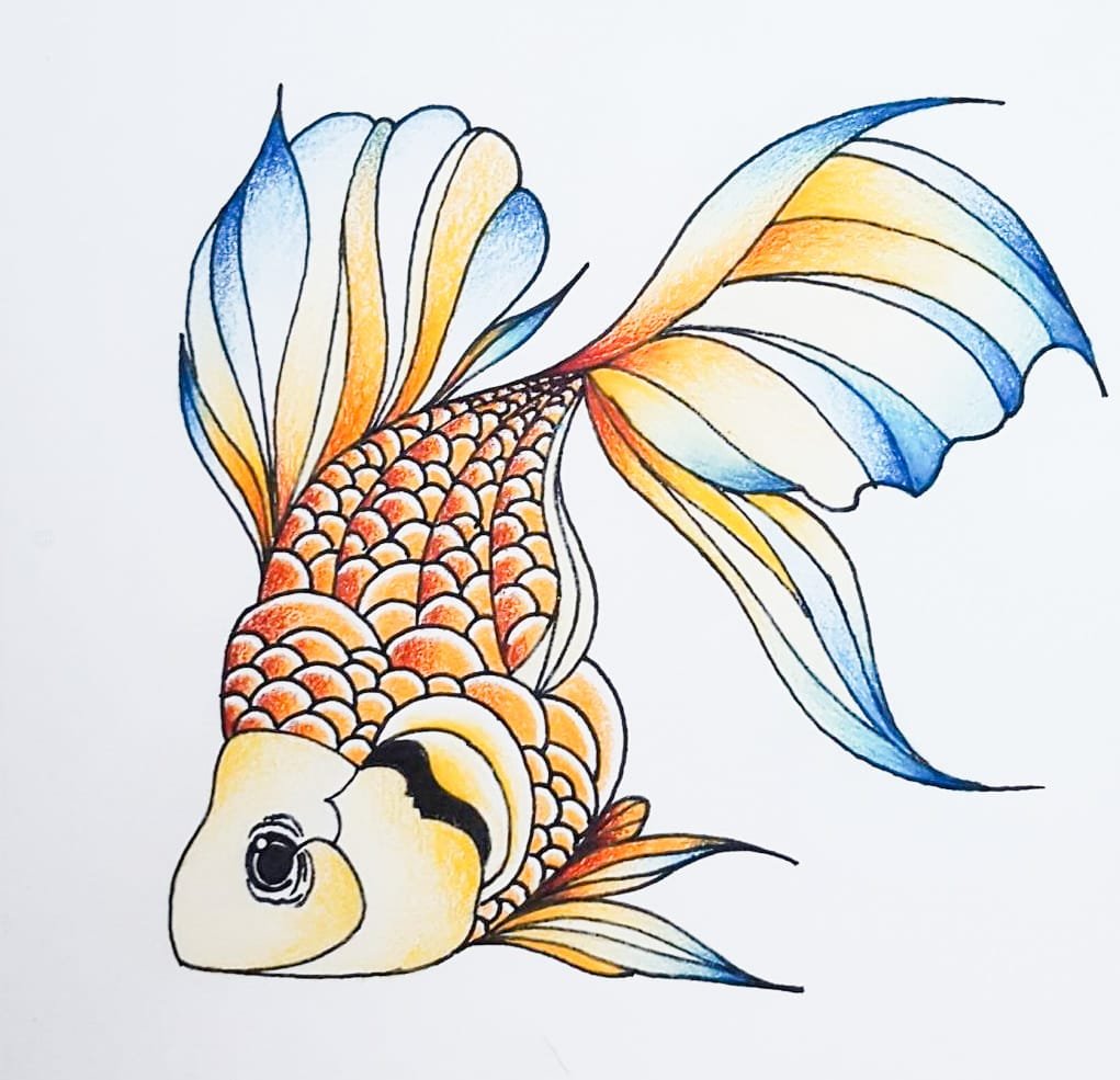 Koi fish Drawing by Chloé Day | Saatchi Art