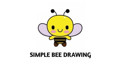 How to Draw An Easy Bee | TikTok