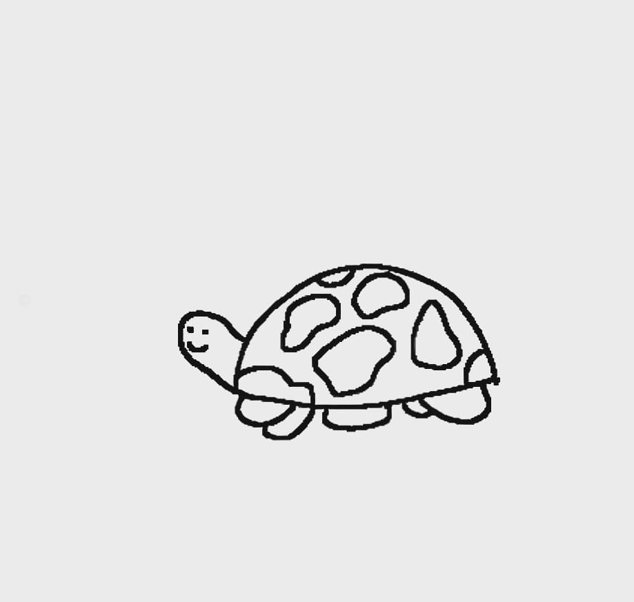 Turtle - Turtle Drawing - CleanPNG / KissPNG