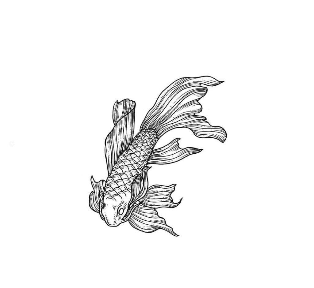 chinese koi fish drawing