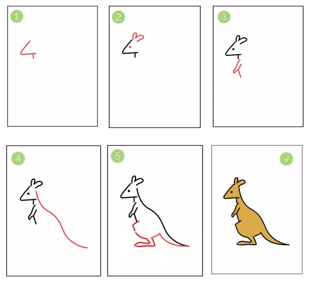 cute kangaroo drawing || (5 easy ) steps draw