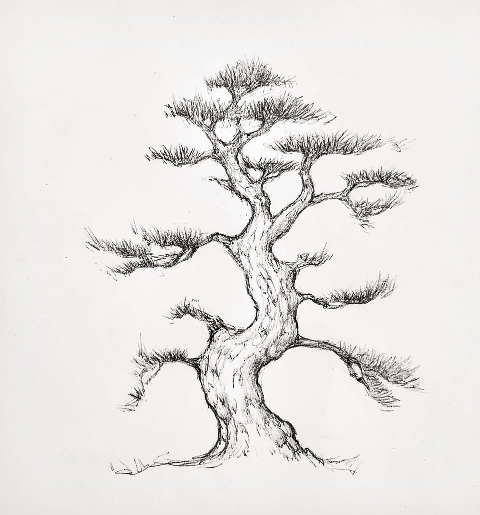 How To Draw A Simple Tree, Step by Step, Drawing Guide, by Dawn - DragoArt