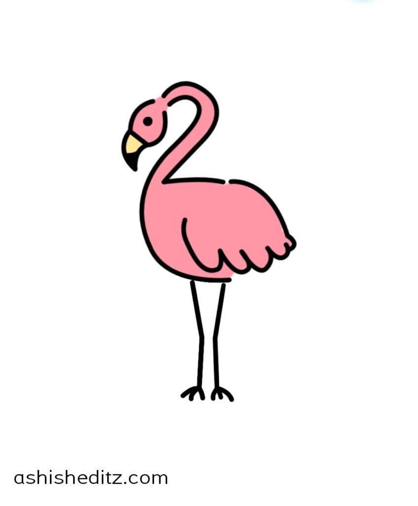 flamingo drawing