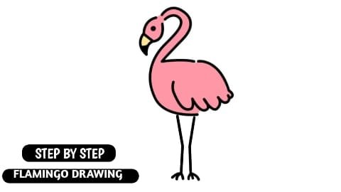 Vector illustration flamingo outline drawing. Exotic bird line icon. Cool  flamingo decorative flat design element. Lovely flamingo Stock Vector Image  & Art - Alamy