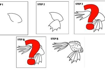 koi fish step by step drawing