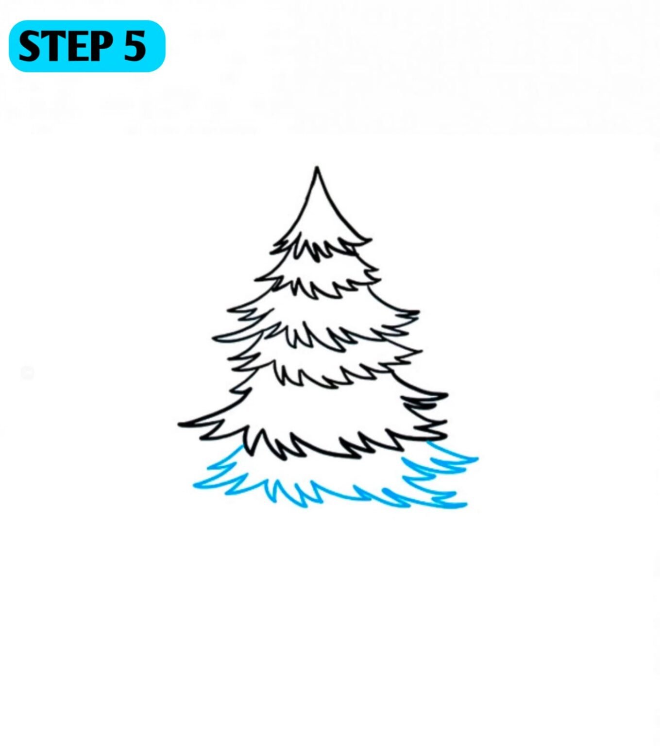 Pine tree drawing step by step || images ideas