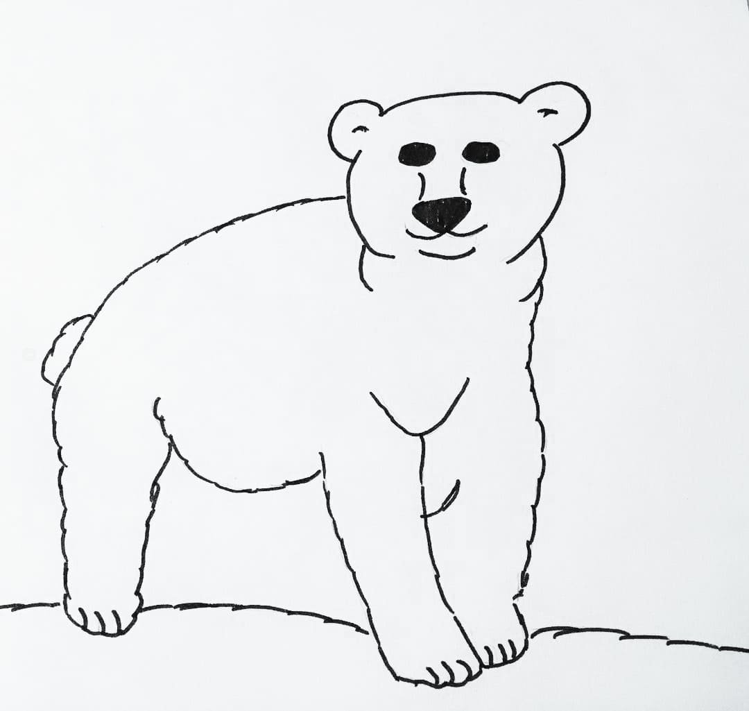 Learn How to Draw a Brown Bear Wild Animals Step by Step  Drawing  Tutorials