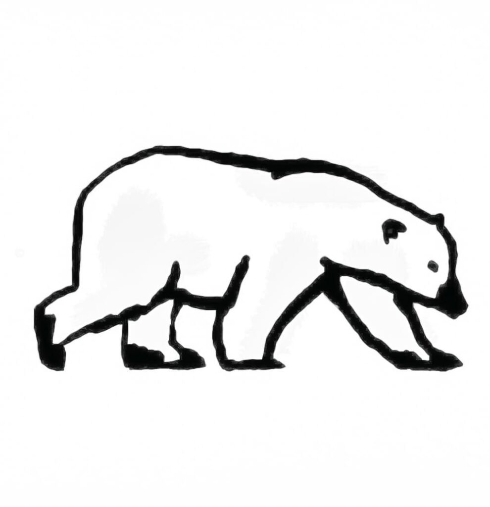 cartoon polar bear drawing