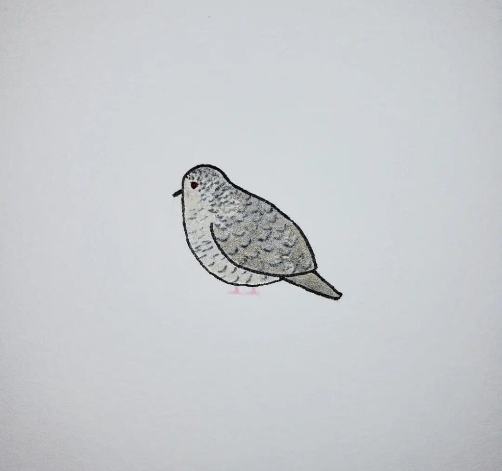 My Art Work - Page Four: Small Bird - Wattpad