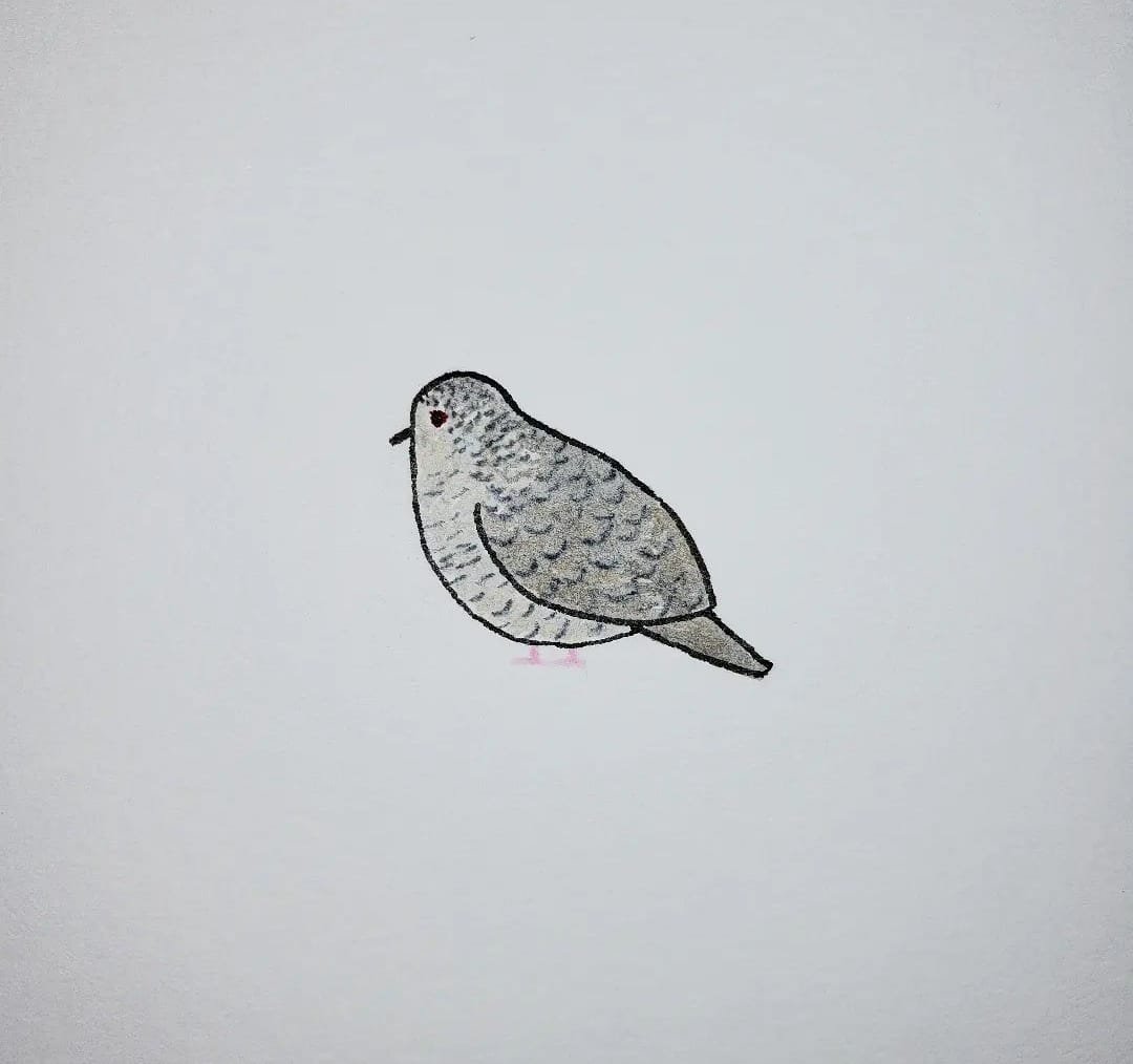 25 Easy Bird Drawing Ideas Picture 25 Easy Bird Drawing Ideas Picture