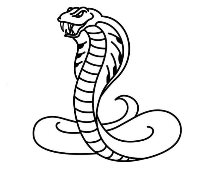 How to Draw an Easy Snake Tutorial and Snake Coloring Page
