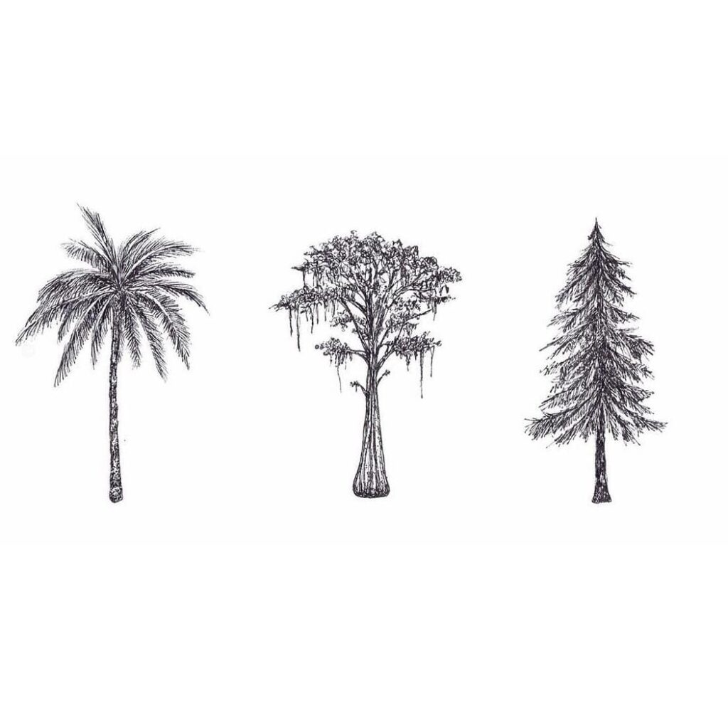 tree drawing images