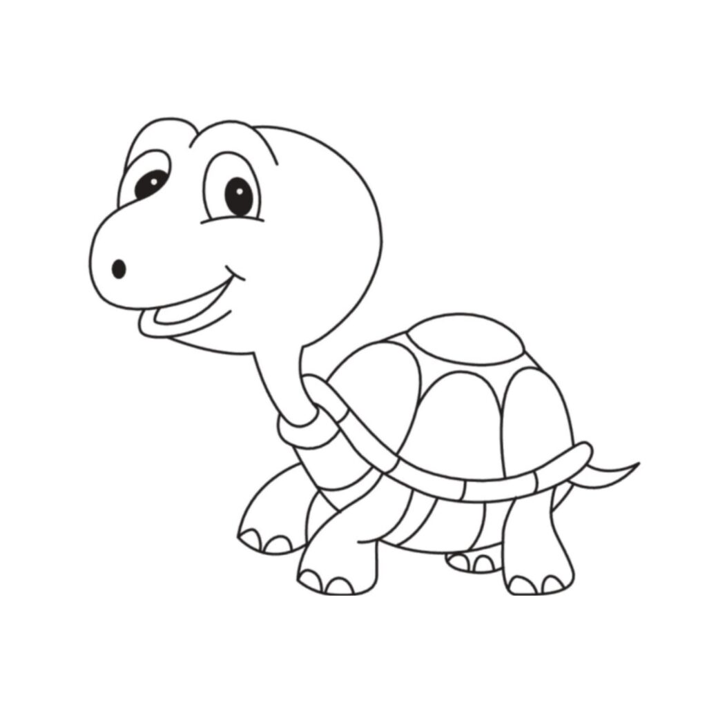 turtle drawing