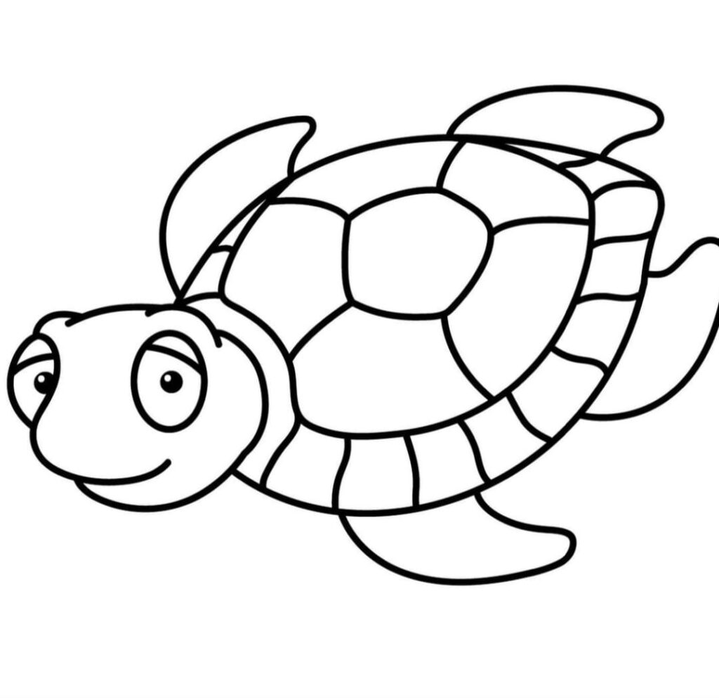 turtle drawing simple