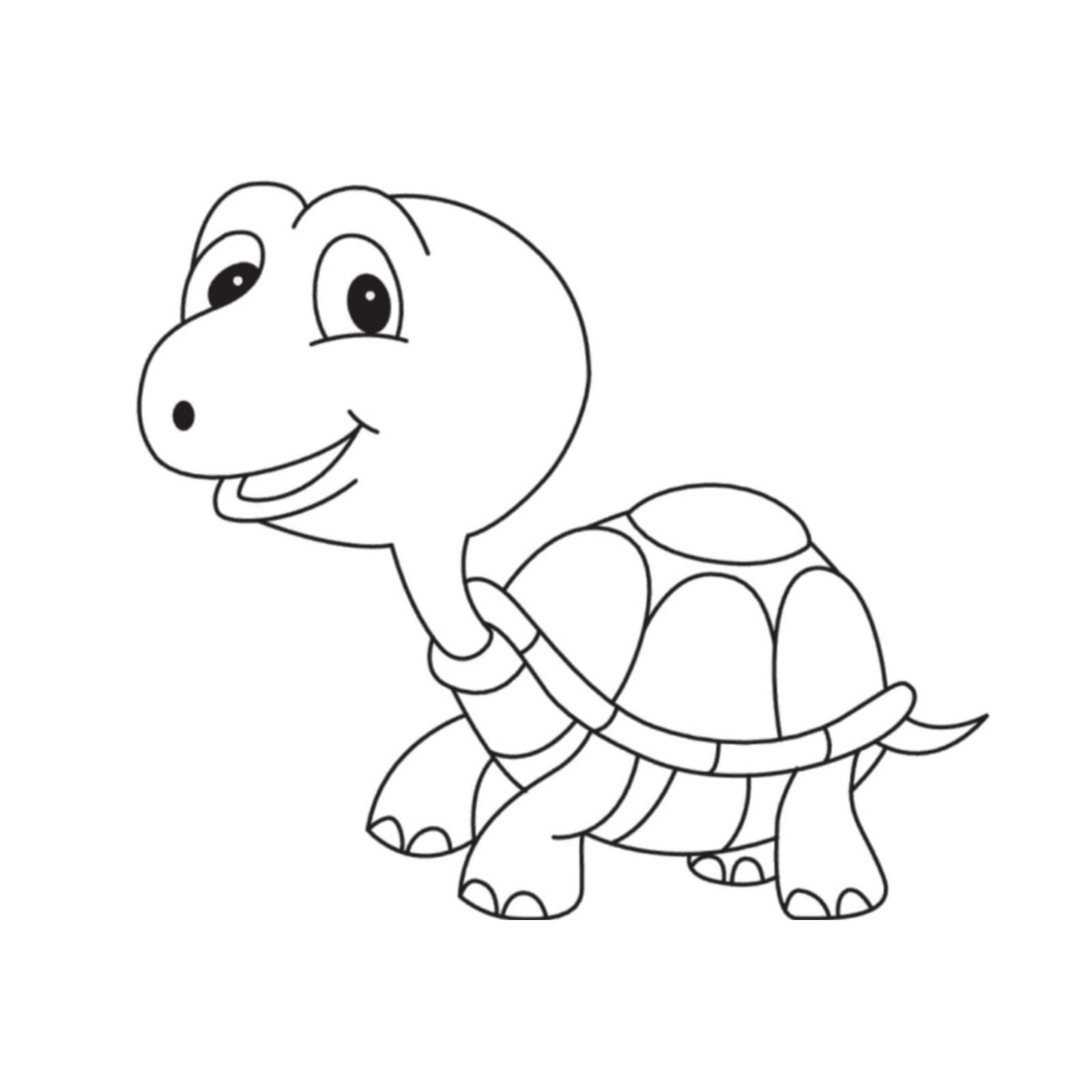 How to Draw a Cute Tortoise