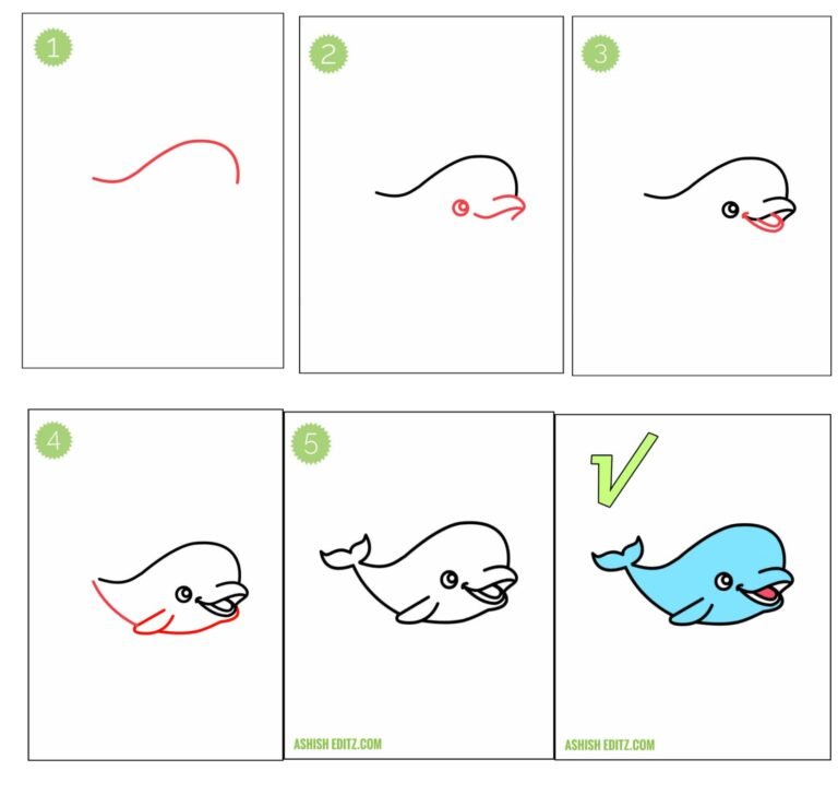 cute whale drawing || simple easy steps