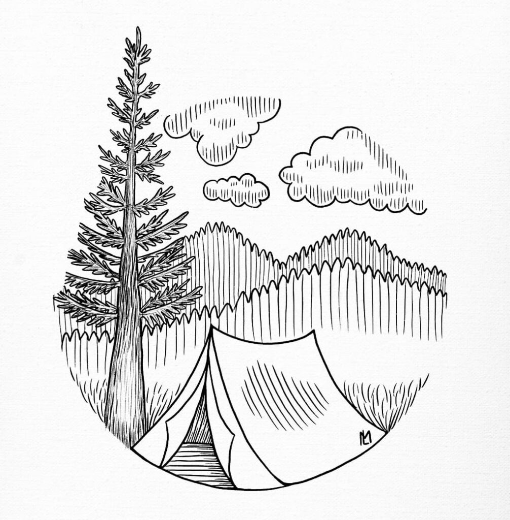 white pine drawing salve