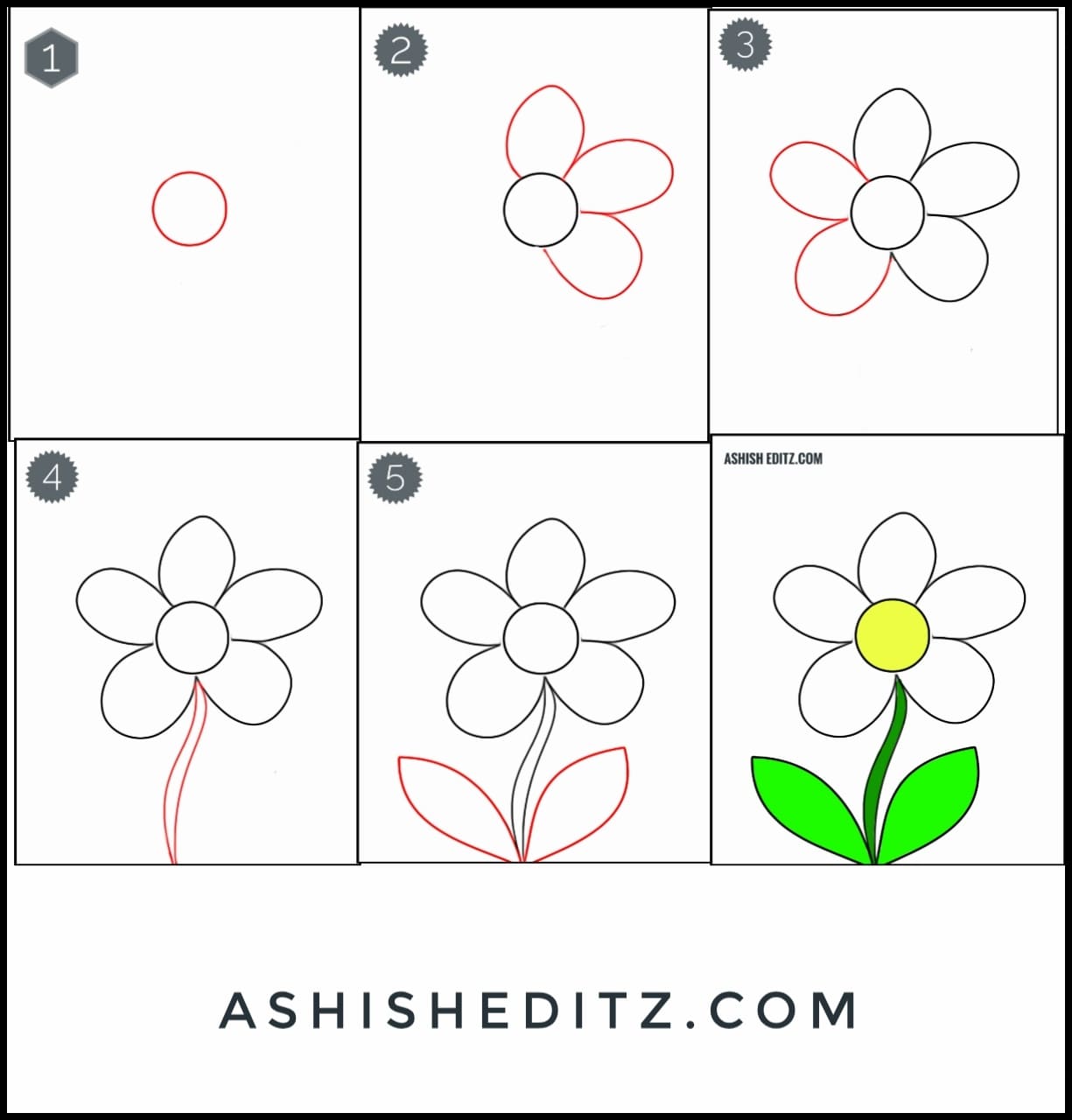 Easy flower drawing with colour step by step